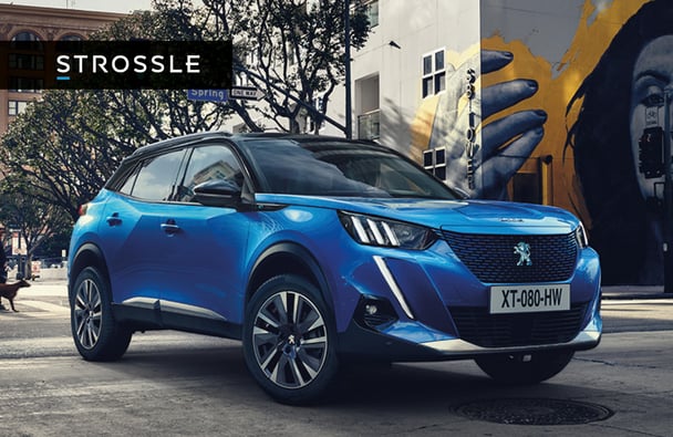 Case: The launch of Peugeot's new electric cars